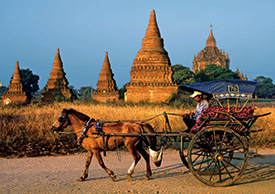 Bagan in depth